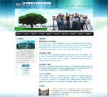 网站建设案例-辽师国际商学院